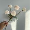 5 Crisântemo de pingue-pongue 5 Crisântemo de bola pequena Flor falsa Simulação de casa Flora Decoração macia Sala de estar Decoração de casamento de flores decorativas Transfronteiriço