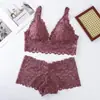 Conjunto de Renda Sexy Triângulo com Bojo Lindo nas Costas Sem Fio Sutiã Francês Push-Up Lingerie para Mulheres - Comércio Exterior Transfronteiriço
