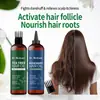 [Aceite Esencial para el Cuidado del Cabello con Romero Transfronterizo] El Aceite de Árbol de Té Fortalece el Cuero Cabelludo y Suaviza el Cabello. Procesamiento OEM Completo en Inglés