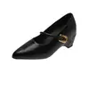 Zapatos de Salón de Punta Fina Franceses con Tacón Grueso para Mujer 2026 Otoño Nuevo Estilo de Hada con Falda de Una Correa Zapatos Retro Mary Jane