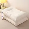 Núcleo de Almohada de Proteína de Seda Bordado para Uso Doméstico, Pieza Única, Soporte Cervical, Ayuda para Dormir, Dormitorio Estudiantil, No se Desinfla, Personalizable