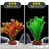 Plantas de Acuario, Decoraciones de Paisajismo con Césped Real, Plantas Aptas para Principiantes, Crisantemo Verde Ciempiés, Plantas de Sombra, Piedra Volcánica, Plantas Verdes Purificadoras de Agua