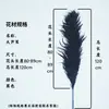 Caña Larga Vietnamita Flor Seca de Yunnan Ramo Decoración Esponjoso Fotografía de Boda Del Suelo al Techo Paisajismo Flor Inmortal Natural
