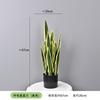 Planta Verde Simulada Pequena Planta em Vaso Suportes Orquídea Tigre Personalizada, Agave, Folha de Ninho de Pássaro, Folha de Dinheiro, Sisal de Cica
