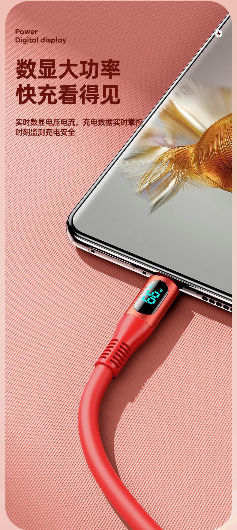 RC-C030A-C智显66W数据线790_06