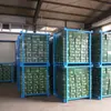 Estanterías de Almacenamiento en Frío para Verduras y Ajos, Estanterías de Tela, Estanterías Apilables de Almacenamiento y Logística, Estanterías Robustas y Duraderas