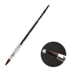 Pluma de Pintura para Uñas con Taladro, Pluma de Cristal con Varilla Transparente, Pluma de Pintura para Uñas, Pluma de Flor