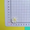 Nuevas Flores de Huevo Coloridas de Resina Accesorios de Pegamento de Crema DIY Hebilla para Zapatos de Agujeros Pasador Pendientes Accesorios para Funda de Teléfono Móvil