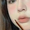 FAICCIA ~ Delineador de labios original en bruma suave, mate, resistente al agua, no se desvanece fácilmente, delinea el tipo de labio, lápiz labial de color duradero.