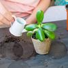 Malla Transfronteriza Redonda para Maceta con Forma de Flor Sello Anti-pérdida de Suelo Anti-mosquitos Sello de Rejilla para Maceta para Jardinería