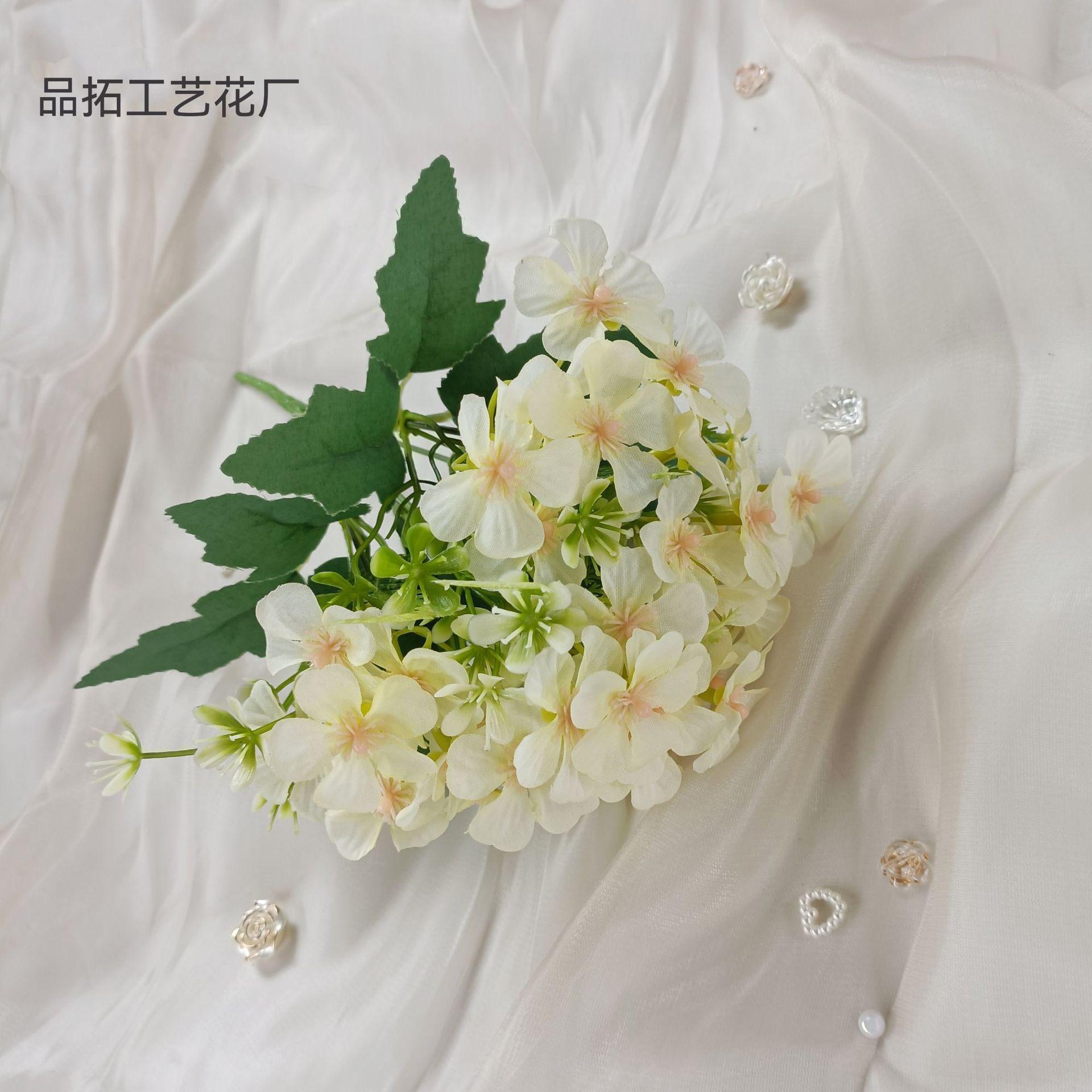 d935006693dc28e038fd647a6f701a