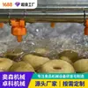 Juego Completo Máquina Lavadora de Frutas y Verduras Equipo Comercial de Lavado con Burbujas para Chiles Máquina Lavadora a Presión en Spray para Frutas, No Daña la Fruta