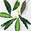 Planta Verde de Novo Produto Transfronteiriço Folha de Calla Folha de Begônia Folha de Taro Colorida Planta Guia de Corredor de Casamento Parede de Plantas Design Floral DIY