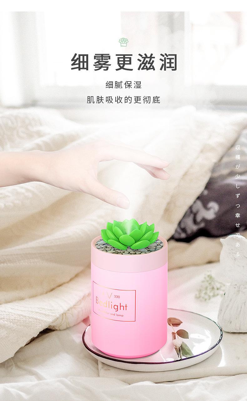 多肉加湿器_06.jpg