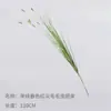 Simulación de Caña Simple Aislante Hierba Cola de Perro Cordyceps Peludo Flor de Encaje Planta Verde Artificial Decoración Paisaje