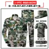 Conjunto de Uniforme Camuflado para Treinamento Militar para Estudantes Universitários Masculinos e Femininos, Uniforme Camuflado Azul de Verão Fino, Conjunto Completo de Camiseta de Manga Curta