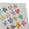 Novos Acessórios para Unhas Polka Dot de Argila Macia Flor de Lírio de Cinco Pétalas Simples e Elegantes Acessórios Populares para Unhas Ice-Through