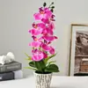 Nuevo bonsái de orquídea Phalaenopsis grande de 7 flores, bonsái de flor de simulación artificial creativa y de moda, fabricante de adornos para decoración del hogar