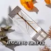 Especímenes de Insectos Artesanales Jingling: Escarabajo, Escorpión, Mantis, Araña - Educación en Ciencias Biológicas, Regalos de Nicho, Adornos de Resina