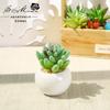Pequeno vaso redondo mini suculenta vaso plástico flores artificiais fabricantes de Yiwu fornecem diretamente ornamentos transfronteiriços uma geração de verde