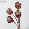 Venda Direta da Fábrica de Galhos Grandes Simulados de Flores Imperiais para Decoração de Casa, Flores Artificiais para Decoração Suave, Arranjos Florais, Decoração de Casa Nórdica