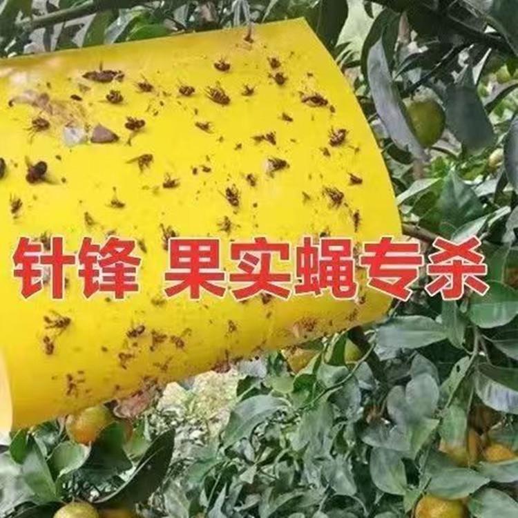详情5