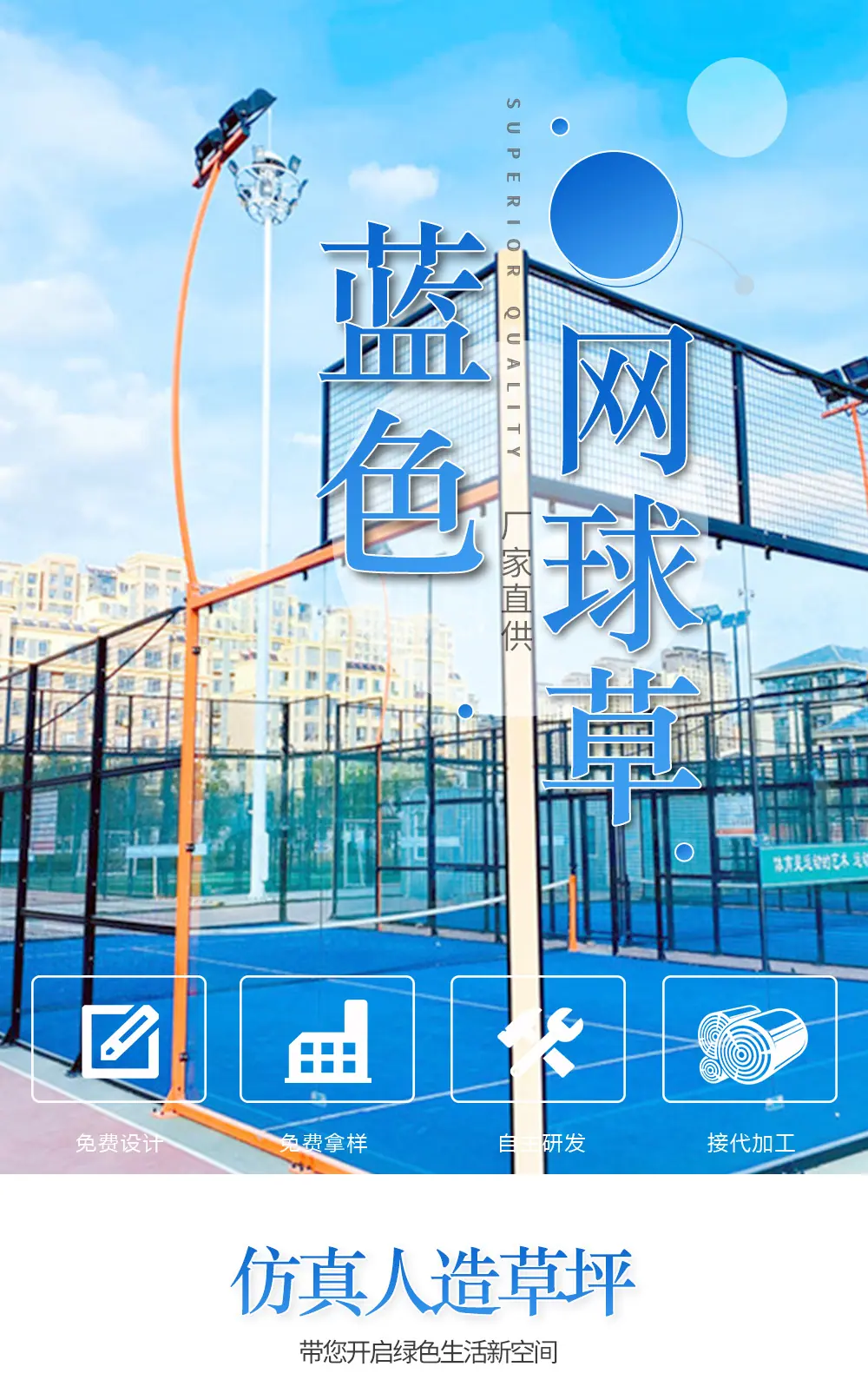 蓝色网球草_01.jpg