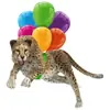 Adornos Colgantes Cruz de Siete Colores Colgantes para Coche Transfronterizos Nuevos Productos Globos Gatitos Interior de Coche Espejo Retrovisor Acrílico Otros