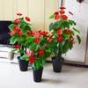 Hongyun Dangtou árvore falsa árvore palma vermelha flor artificial em vaso plástico verde flor decorativa sala de estar bonsai planta verde