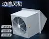 Extractor Wex450-4D Ventilador de Pared Lateral Wex500-4D Ventilador de Pared Lateral Antiexplosivo Bwex400-4D
