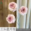 Flor de Rosa Lunar de Tres Cabezas Rama Única Rosa Arcoíris Mar de Flores Rincón de Check-in de Celebridades de Internet Decoración de Paisajismo de Área Escénica Venta al por Mayor