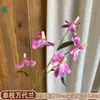 Atacado transfronteiriço de orquídeas Bandai: Orquídeas artificiais Bandai de alta qualidade, perfeitas para decorações de casamento, arranjos de hibisco e buquês de noiva