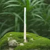 Pajita biodegradable de PLA para té de burbujas protección del medio ambiente