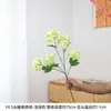 5 flores artificiais de hortênsia doce são adequadas para arranjos florais de casamento e decoração, e podem ser usadas para decoração de corredor de casamento e arranjos florais de mesa.