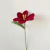 Flor de Tulipan Terminada Transfronteriza Flor Tejida a Mano Flor de Lana al por Mayor Ramo de Flores Regalo Creativo Regalo del Día de la Madre
