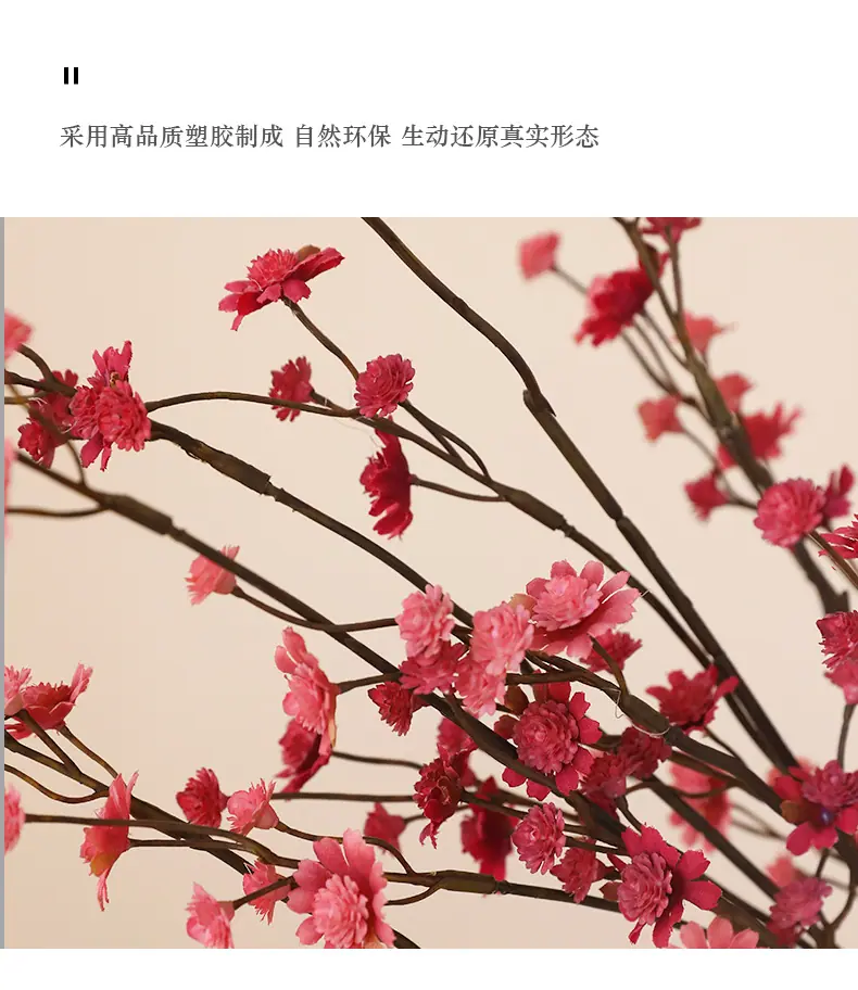 南希单枝满天星_11.jpg