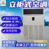 Suporte para Gabinete Vertical Personalizado Ar Condicionado à Prova de Explosão, Ar Condicionado à Prova de Explosão de Suspensão, Ar Condicionado de Gabinete de Uso Duplo Aquecimento e Resfriamento