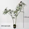 Atacado decoração de bonsai de planta verde árvore de simulação Madeira de Pavão folha estreita novo bonsai chinês planta de decoração para sala de estar interna