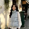Outono Inverno 2026 Novo Casaco com Gola Alta Acolchoado Quente Colete de Algodão Feminino Solto Tamanho Grande Estilo Casal Casaco