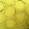 Fieltro Gris de 20.5 mm x 3 mm, Suministro Directo del Fabricante, Admite Consultas Basadas en Dibujos y Muestras