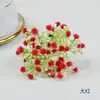 Cabeça de flor de gypsophila flor artificial corsage de casamento flor de pulso flor combinando adereços de tiro cocar de noiva pequeno buquê fresco