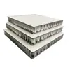 Panel Grande de Panal Techo Integrado Baldosa de Aluminio Tablero Sala de Estar Material de Decoración para Exportación Panel de Panal Totalmente de Aluminio Techo de Panel Grande en Stock