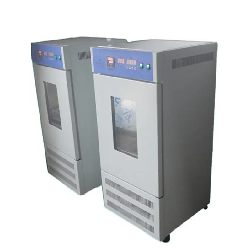 BS-1E 5.jpg