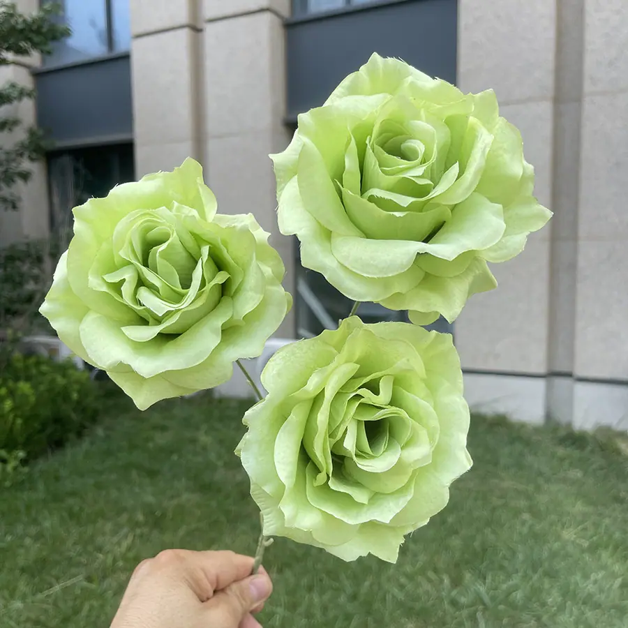 3头巨型美琪玫瑰-绿色.JPG