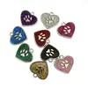 Aleación de Zinc Suministros para Mascotas Colgante de Huella Anti-Pérdida Grabado ID Placa de Identificación para Perro Etiqueta para Gato Etiqueta de Identificación Colgante Estilo Ins