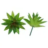 Mini Planta Suculenta Artificial Única Suculenta Falsa Flor Artificial Adorno de Micro Paisaje Oficina Planta Verde Real Artificial Alto