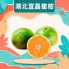 Naranja Miel de Hubei Yichang, disponible para dropshipping, 3/9 libras, naranjas de 50-60 mm, caja completa, producto agrícola comestible, fruta fresca