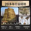 Galhos de Bambu Naturais para Vassouras de Higiene, Matérias-Primas para Vassouras de Bambu, Grandes Quantidades de Matérias-Primas para Vassouras de Bambu Disponíveis, Atacado de Fabricantes
