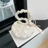 Bolsa Nuvem Plissada Coreana para Mulheres, Bolsa Nicho Bolha Dumpling, Bolsa Transversal, Bolsa Brilhante de Ombro Subarmela, Fashionável e Versátil