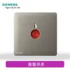 Nuevo enchufe de interruptor Siemens Lingyue Qingyue panel grande gris superficie mate esmerilada cinco agujeros uno abierto dos abiertos tres abiertos